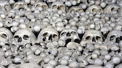 骨は中世にセドレツを取り囲んでいた巨大墓地から集めたものだ