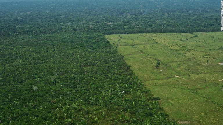 ２０１７年に撮影されたブラジルでの森林伐採の様子。アマゾン川流域で熱帯雨林の破壊が加速しているとの調査結果が発表された/CARL DE SOUZA/AFP/AFP/Getty Images