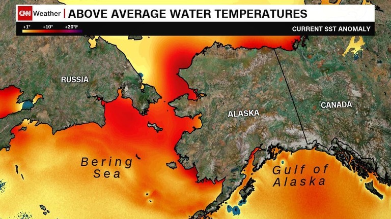 米アラスカ州がこの時期としては記録的な高温に見舞われている/CNN