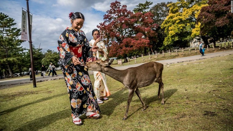 奈良公園の鹿の間で、捨てられたビニール袋を食べて死ぬ被害が広がっている/Joshua Mellin