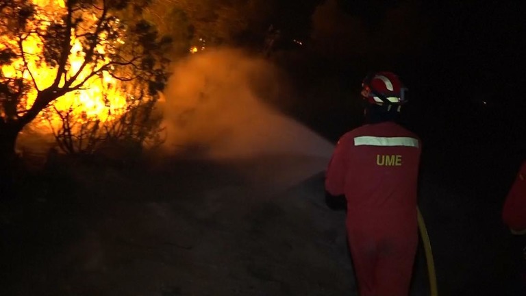 山火事で二酸化炭素が排出されることにより、地球温暖化が一段と加速するとみられる