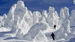 山形県蔵王山の冬の名物、樹氷。寒冷な気候が作り出す天然の彫刻だ