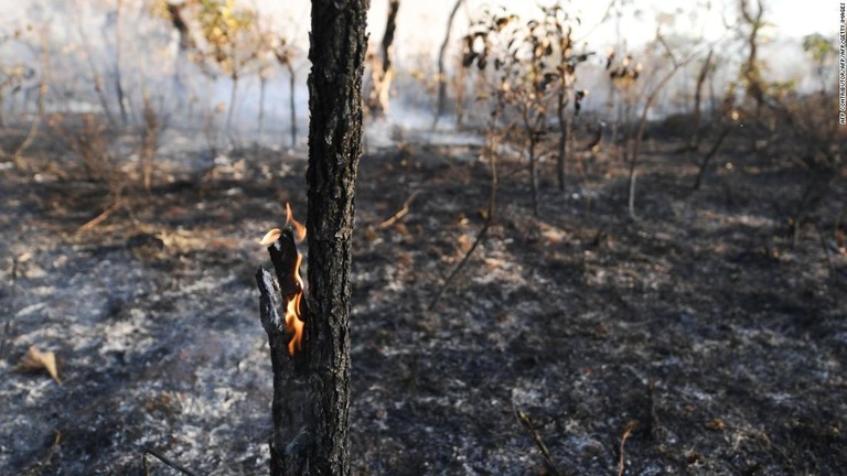 熱帯雨林で記録的なペースで火災が発生しているとの報告が発表された/AFP Contributor/AFP/AFP/Getty Images