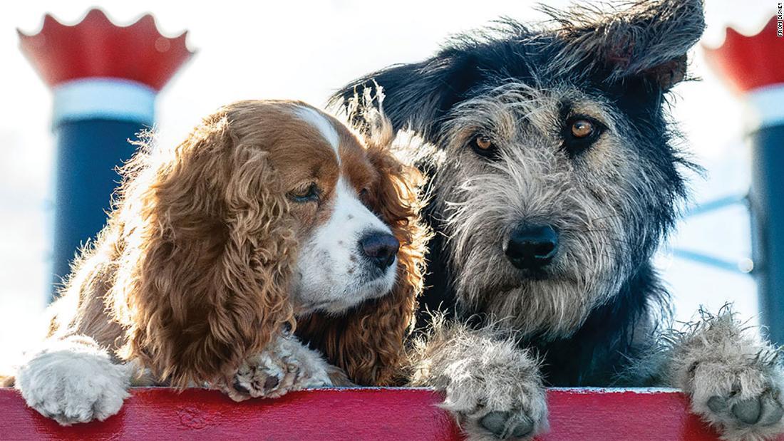 Cnn Co Jp 実写版 わんわん物語 トランプ役に保護犬を起用