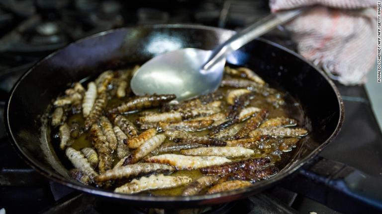 リュウゼツランに生息する芋虫。アステカ族も食べていたとされ、今日でもフライなどで食べられている/RONALDO SCHEMIDT/AFP/AFP/Getty Images