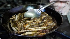 リュウゼツランに生息する芋虫。アステカ族も食べていたとされ、今日でもフライなどで食べられている