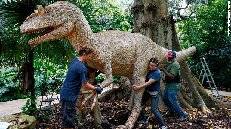 フロリダ州デイビーのフラミンゴ・ガーデンズでは、恐竜アロサウルスの像を移動＝３０日/Rhona Wise/AFP/Getty Images