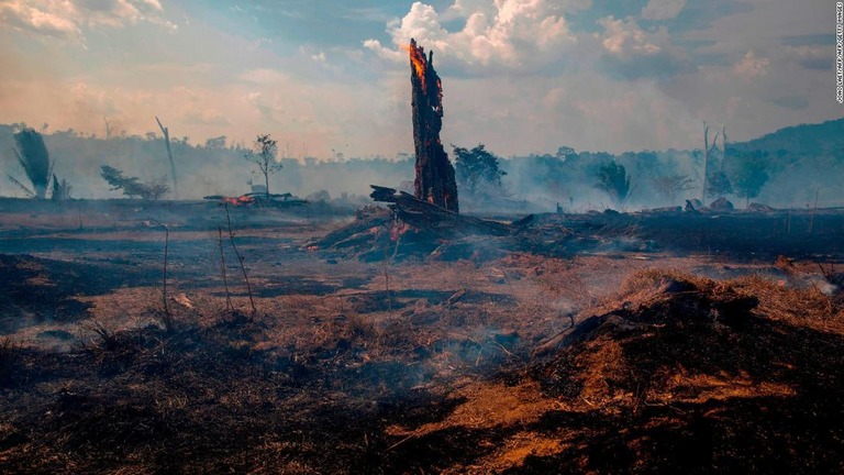 ブラジルの森林火災をめぐり、米企業が皮革の輸入を取りやめる方針を示した/JOAO LAET/AFP/AFP/Getty Images
