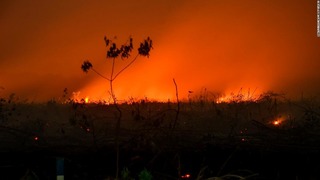インドネシアで起きた森林火災により、周辺国の大気汚染が深刻化している