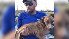がれきに埋まった子犬、１カ月ぶり救出　ハリケーンで惨状のバハマ