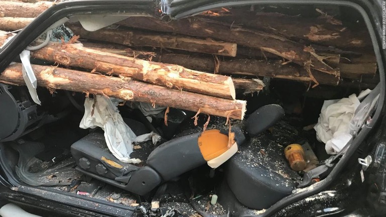 木材がフロントガラスを突き破ったものの、運転手は軽傷で済んだ/Whitfield County Fire Department