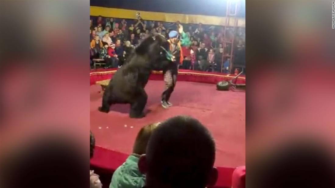 サーカスのクマ、公演中に調教師襲撃 - CNN.co.jp