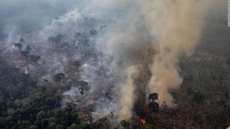 今年８月に発生した火事の上空からの様子＝ポルト・ヴェーリョ/Victor Moriyama/Getty Images