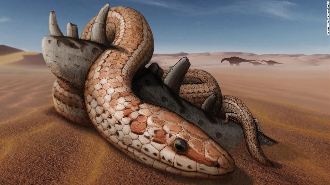 Cnn Co Jp 初期のヘビ ７千万年にわたり足があった 新化石から判明