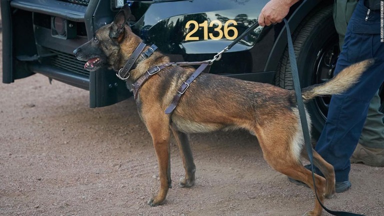 警察犬の「コーキ」が逃走する容疑者に射殺された/El Mirage Police Department