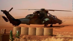 フランス兵１３人、ヘリコプター事故で死亡　西アフリカ