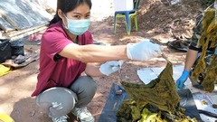 シカの死骸からプラスチックごみ７キロ　タイの国立公園