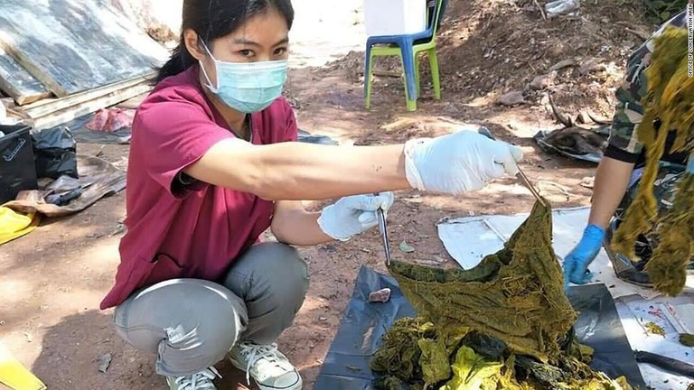 死んだシカの体内から大量のプラスチックごみが見つかった/Office of Conservation Area 