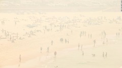 豪シドニーの大気汚染、「危険」レベルの１１倍　郊外の山火事で