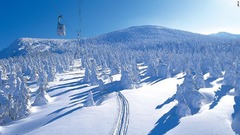 山形県の蔵王スキー場