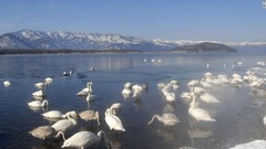 北海道の屈斜路湖（くっしゃろこ）