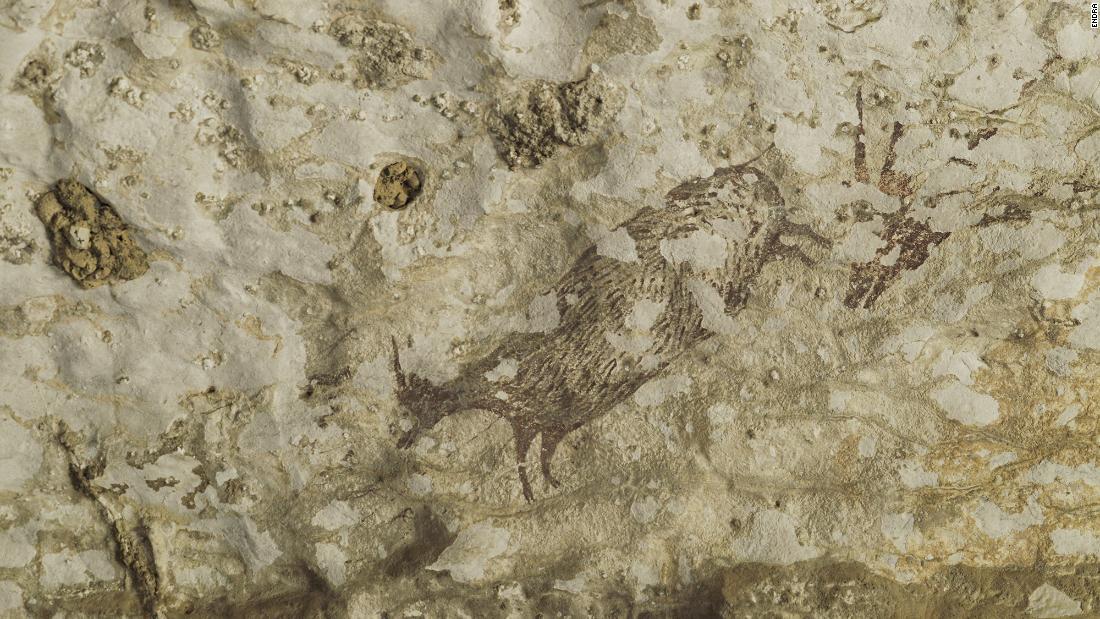 ４万４０００年前の洞窟壁画を発見、人類史上最古か インドネシア