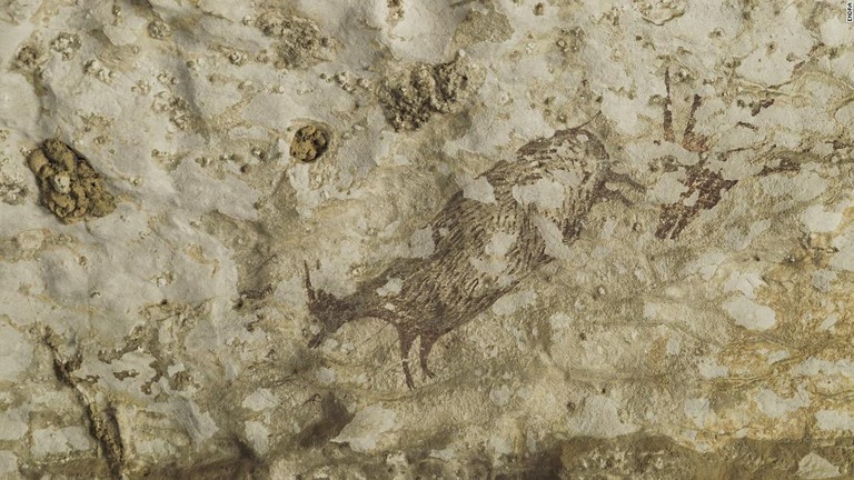 インドネシアで見つかった人類史上最古とみられる洞窟壁画/Endra
