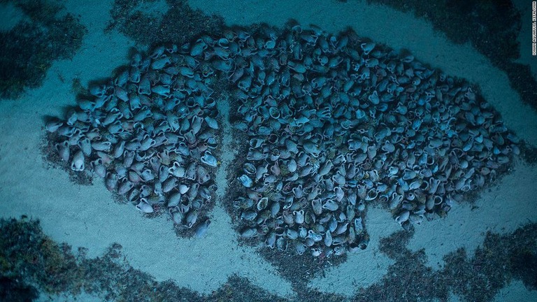 ６０００個のつぼを積んだローマ時代の沈没船が発見された/Ionian Aquarium, Kefalonia