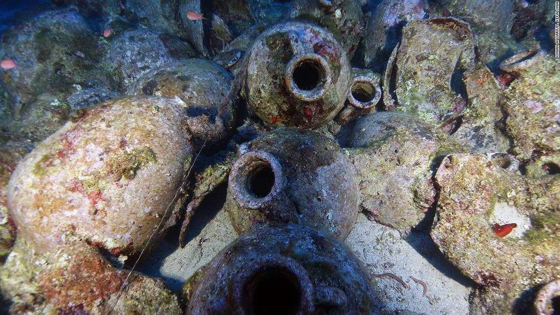 積み荷の状態は良好だという/Ionian Aquarium, Kefalonia