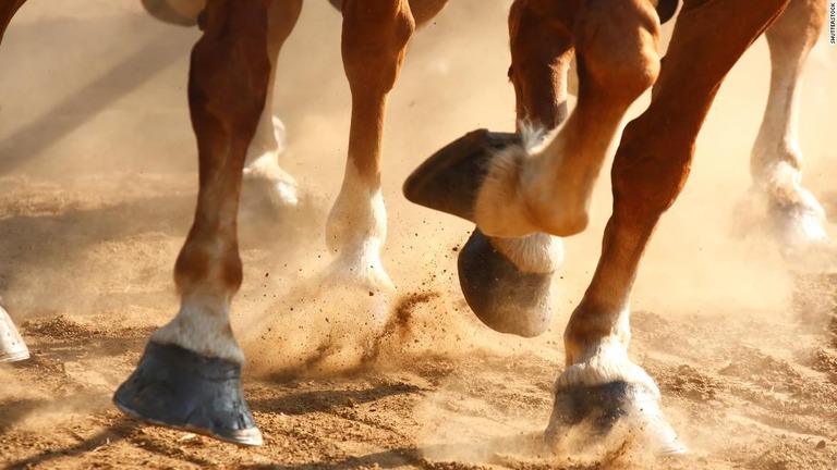 射殺されたとみられる馬の死骸、少なくとも１４頭が発見された/Shutterstock