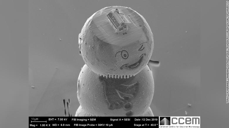 雪だるまの頭上に載ったジンジャーブレッドハウス/Travis Casagrande/Canadian Centre for Electron Microscopy at McMaster University