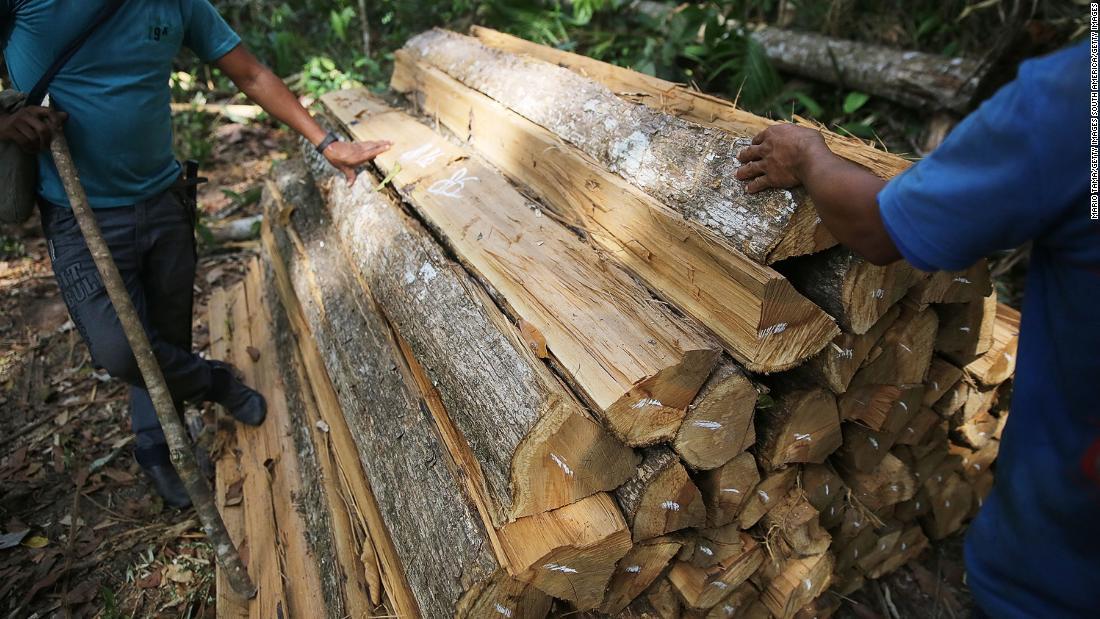 違法に伐採された材木を検査する地元部族のメンバー＝ブラジル/Mario Tama/Getty Images South America/Getty Images