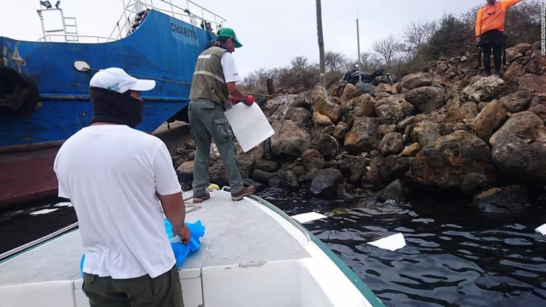 ガラパゴス諸島の公園当局が公開した写真。流出後の状況が写っている/Parque Galapagos Twitter