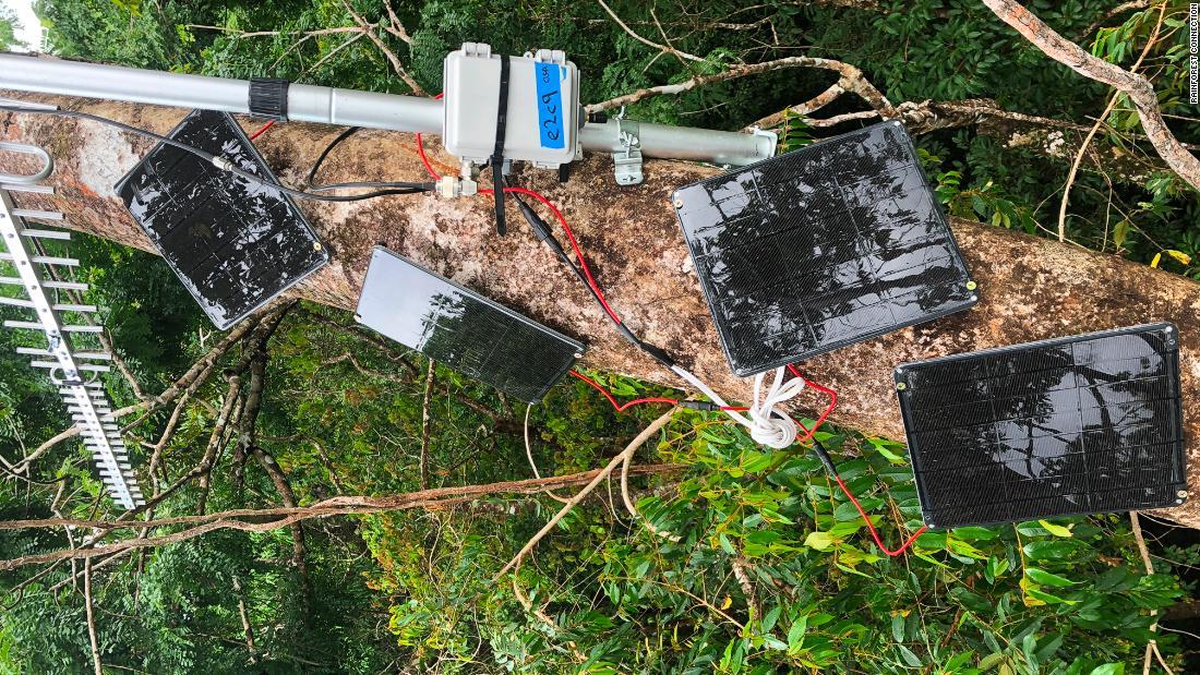 木に取り付けられた監視装置/Rainforest Connection