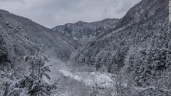 長野県にはスキーのために訪問する人が多いが、地獄谷野猿公苑を訪れれば気分転換にもなりそうだ