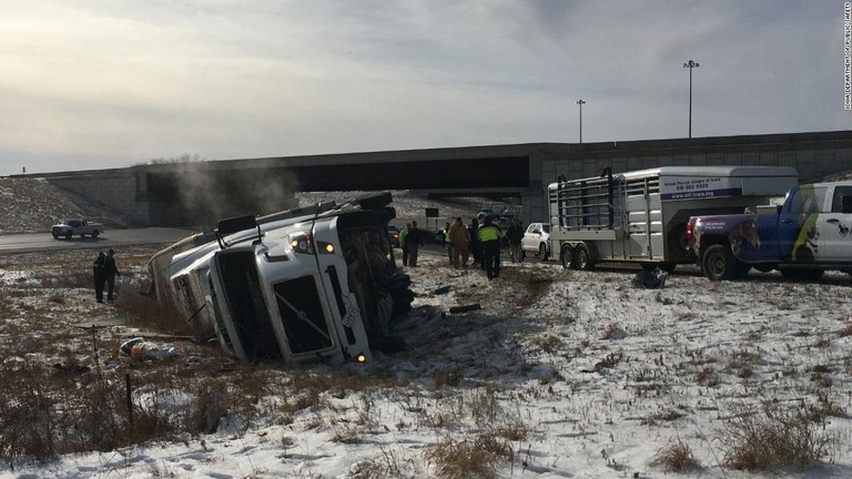 子ブタ１７３８匹を載せたトラックが転倒して、一部が「脱走」する出来事があった/Iowa Department of Public Safety