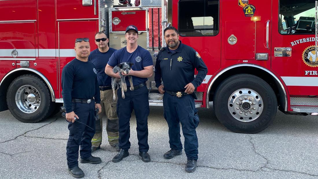 救出に携わった消防士と写真に納まるラナ/Riverside County Department of Animal Services