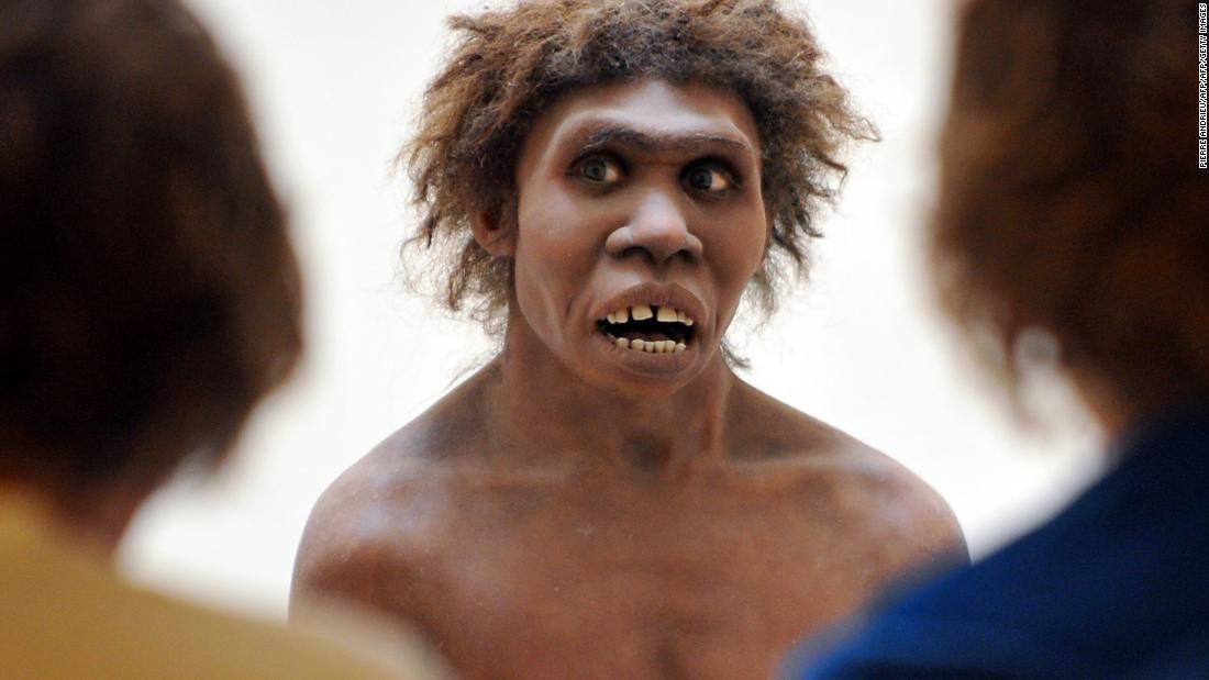 Cnn Co Jp ネアンデルタール人のｄｎａ アフリカの現生人類からも検出 新研究