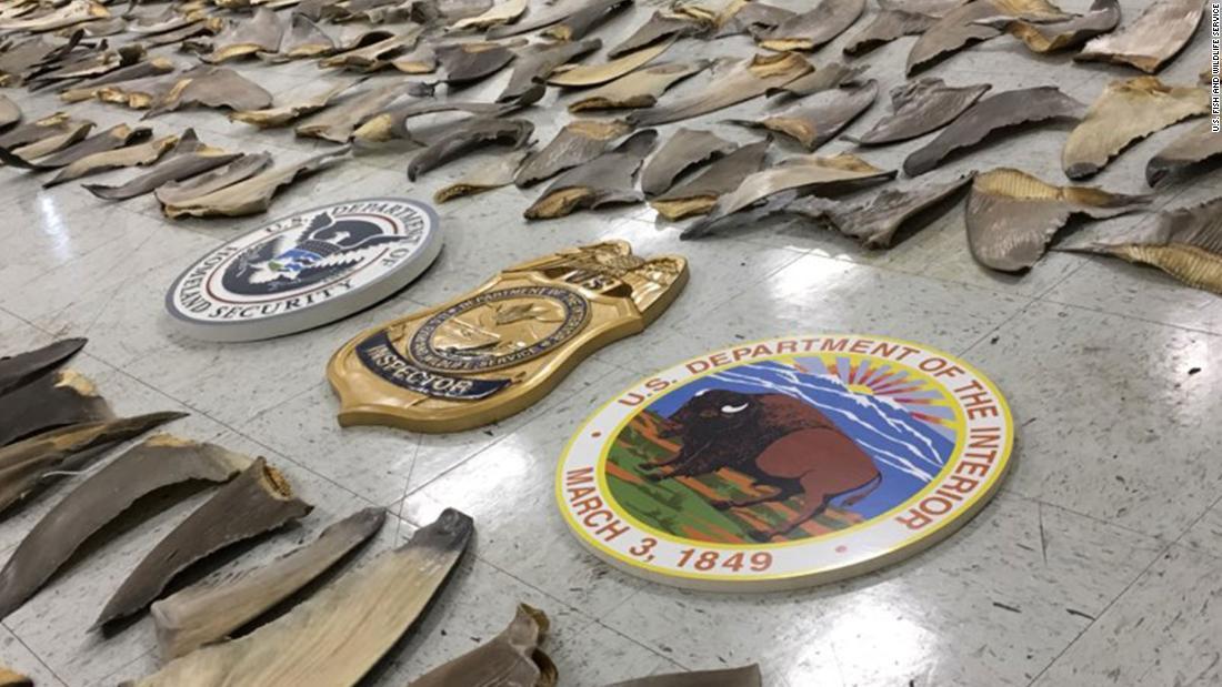 ヒレは18個の箱の中に隠されていた/U.S. Fish and WIldlife Service