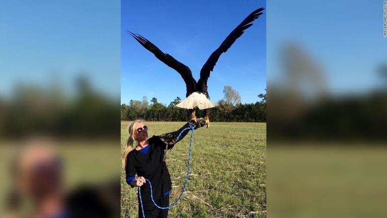 保護施設の責任者がハクトウワシとポーズを取る様子/Cape Fear Raptor Center