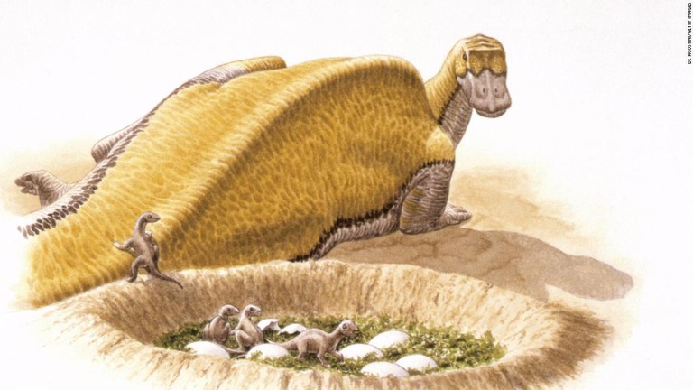 マイアサウラの巣のイメージ図。卵の殻の化石などの分析により、恐竜に温かい血が流れていた可能性が示唆された/De Agostini/Getty Images