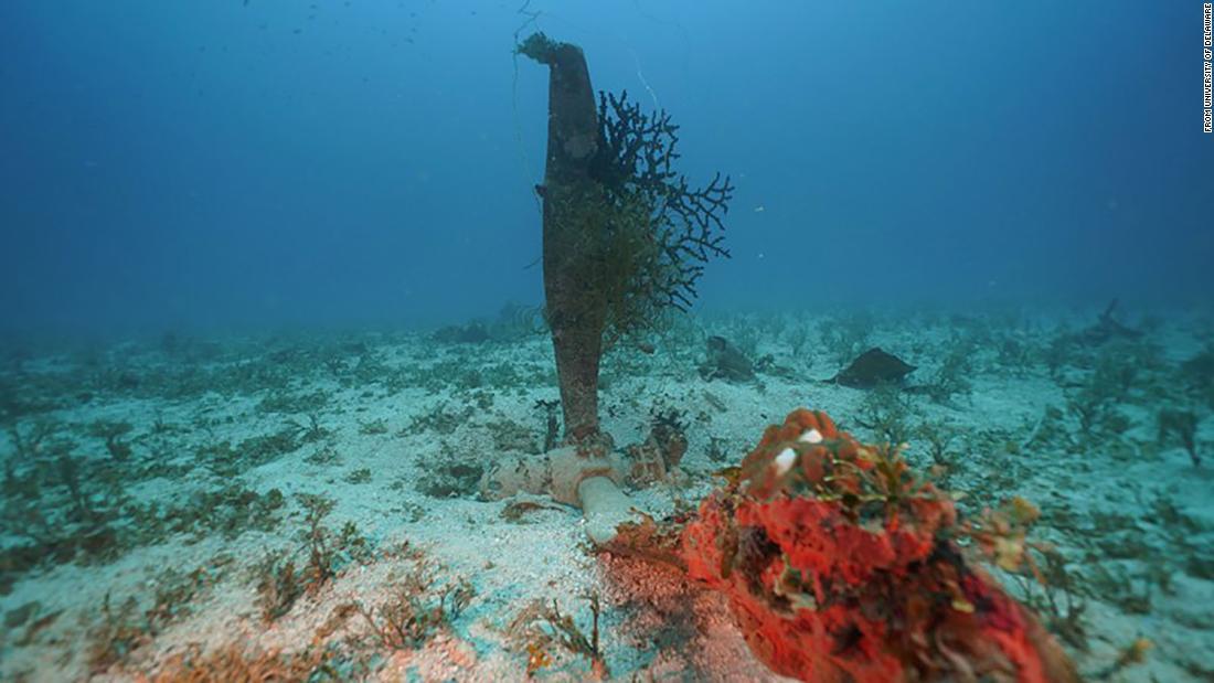 サンゴに覆われたプロペラ/from University of Delaware