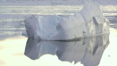 南極を襲った異常な熱波、最北端の島はわずか９日で２０％の雪解け
