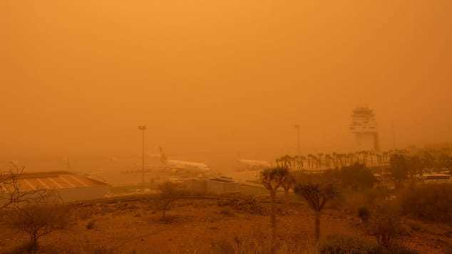 ２４日になっても運航乱れは続いた/Desiree Martin/AFP/Getty Images