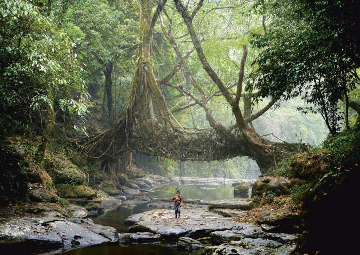 「生ける橋」の下を歩く漁師の男性=インド・メガラヤ州/Credit: Amos Chapple