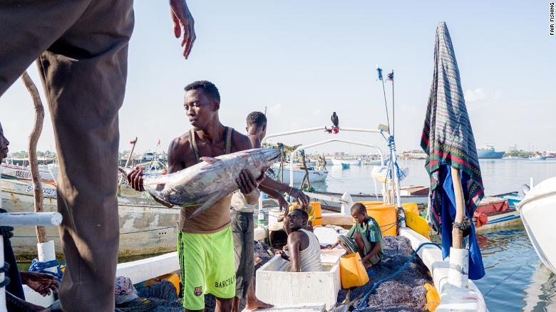 ３日間の漁から戻り、港で魚を水揚げするソマリアの漁師/Fair Fishing