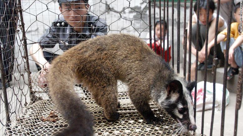 ＳＡＲＳの流行時、武漢の農民が捕らえた野性のジャコウネコ/STR/AFP via Getty Images