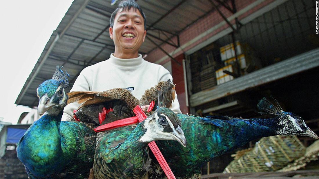 コウモリ 料理 中国