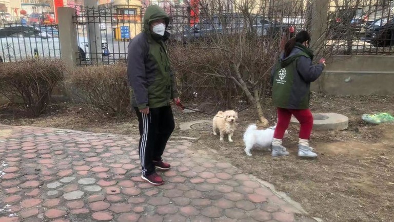 中国の保護団体のメンバーが、取り残されていた犬２匹を散歩させる様子/Vshine