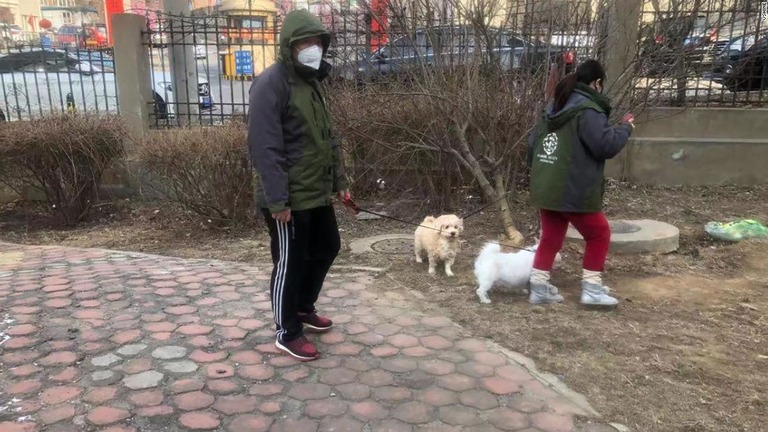 中国の保護団体のメンバーが、取り残されていた犬２匹を散歩させる様子/Vshine